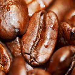 Kaffeebohnen in Großaufnahme